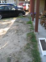 yard work 2010